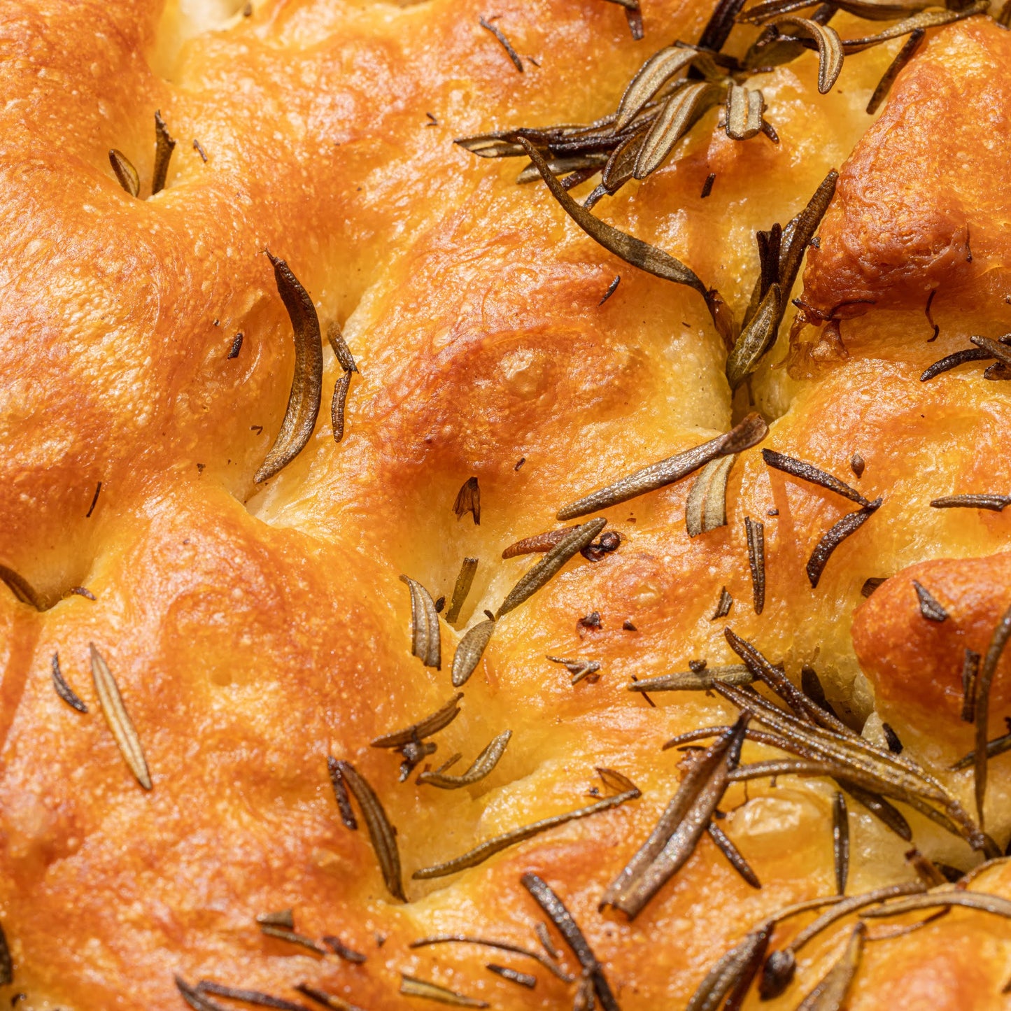 CATERING MENU: Focaccia Rosemary & Rock Salt (Whole Slab - UNcut, UNfilled)